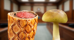 Beef Wellington sues Death Cap Mushrooms for defamation