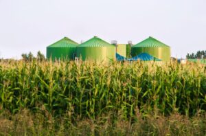 The Little-Known Credit Holding Up the Clean Fuel Market