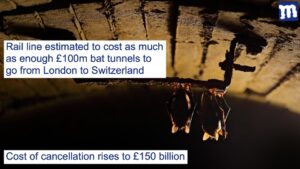 HS2 now costs £73bn, or seven hundred and thirty-one bat tunnels