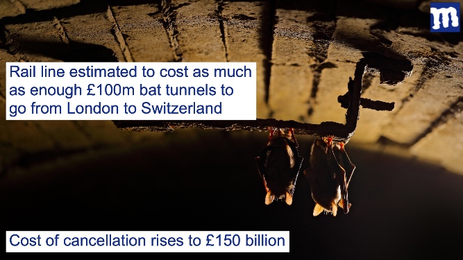 HS2 now costs £73bn, or seven hundred and thirty-one bat tunnels