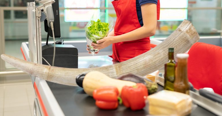 Animal Rights Win: ShopRite Will No Longer Use Elephant Tusks As Checkout Dividers